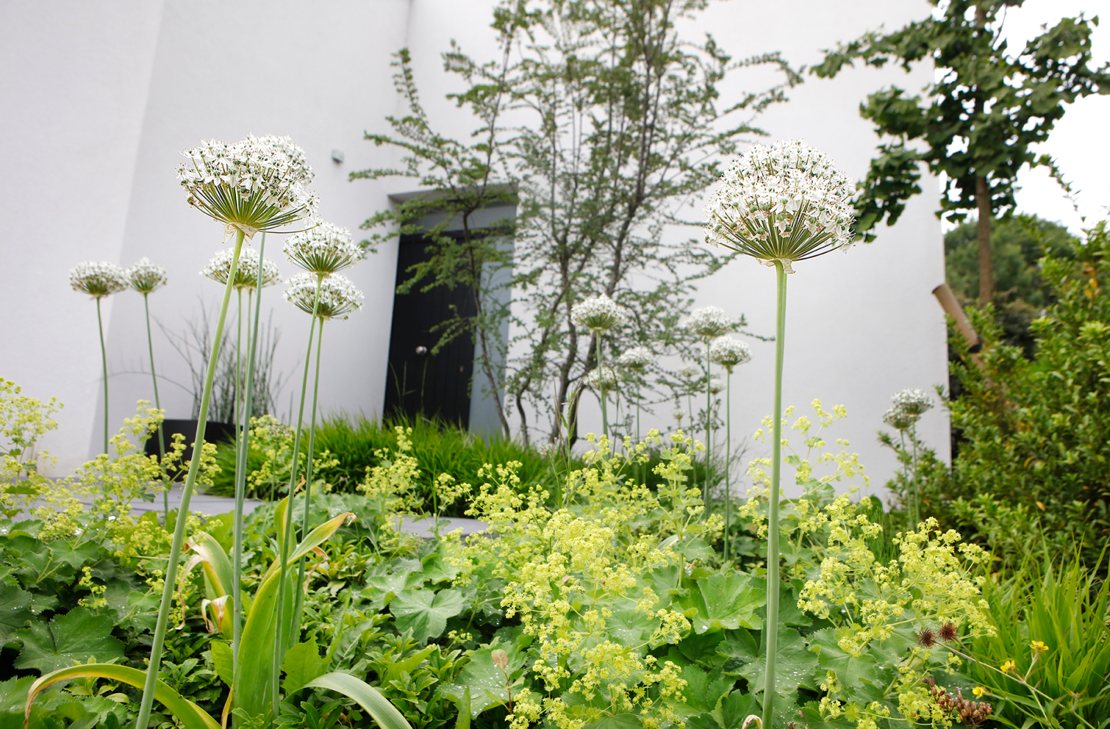 Vakantie in eigen tuin